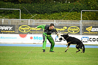 Einstein vom Amistad