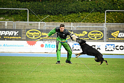 Einstein vom Amistad