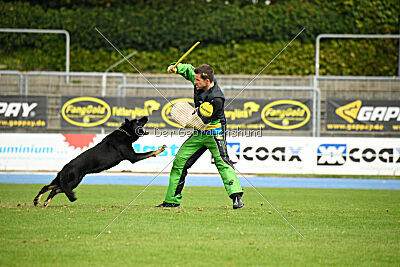Einstein vom Amistad