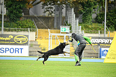 Einstein vom Amistad