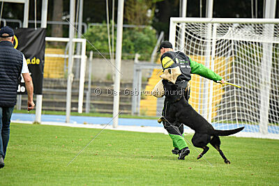 Einstein vom Amistad