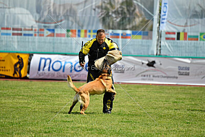 El Loco de Marina de los Molinos