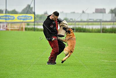El Loco de Marina de los Molinos