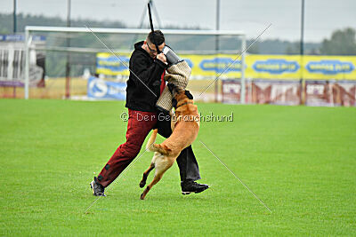 El Loco de Marina de los Molinos