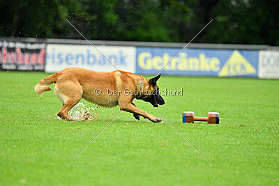 El Loco de Marina de los Molinos