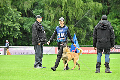 El Loco de Marina de los Molinos