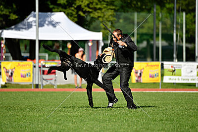 Eldo vom Mühlenstein