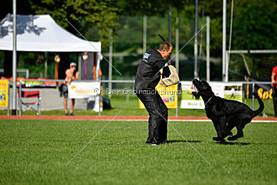 Eldo vom Mühlenstein