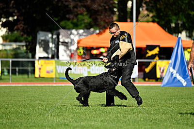 Eldo vom Mühlenstein