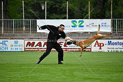 Elli-Pyrelli vom Streitwald