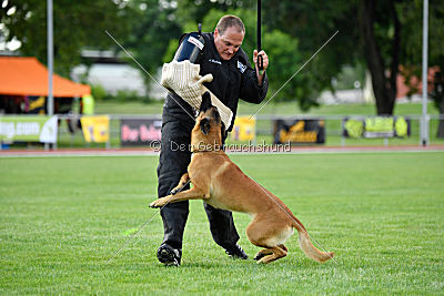 Elli-Pyrelli vom Streitwald