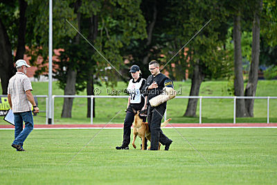 Elli-Pyrelli vom Streitwald