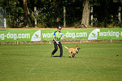 Elly vom Clan der Wölfe