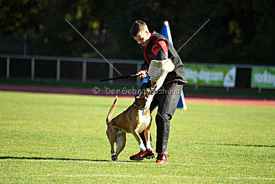 Elvis von der Kahlquelle