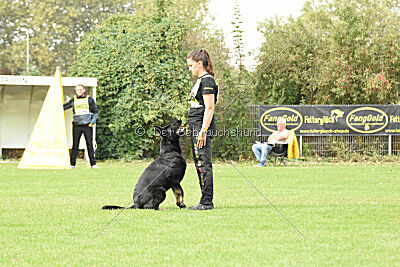 Emba vom Niederbühler Tor