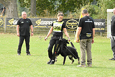 Emba vom Niederbühler Tor