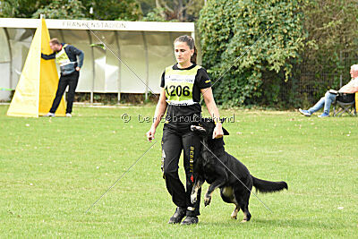 Emba vom Niederbühler Tor