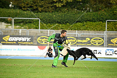 Emba vom Niederbühler Tor