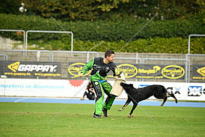 Emba vom Niederbühler Tor