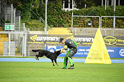 Emba vom Niederbühler Tor