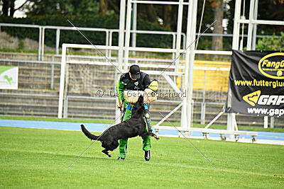 Emba vom Niederbühler Tor