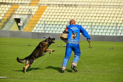 Enrico Alen's Hof