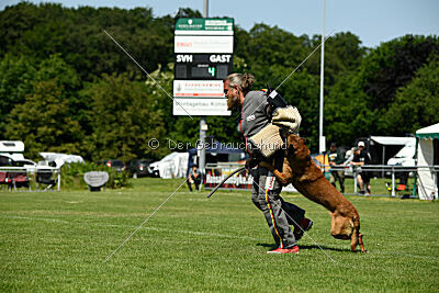 Enzo vom Buxtehuder Bullen