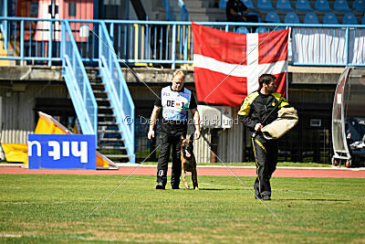Enzo vom Buxtehuder Bullen