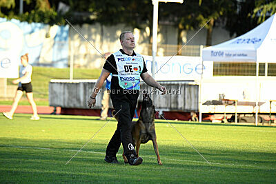 Enzo vom Buxtehuder Bullen