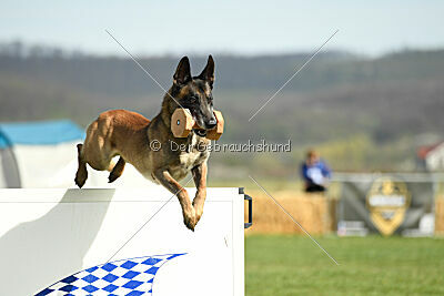 Erco primus Proeliator