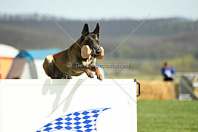 Erco primus Proeliator