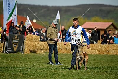 Erco primus Proeliator