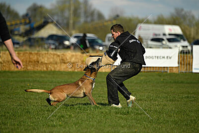 Erco primus Proeliator