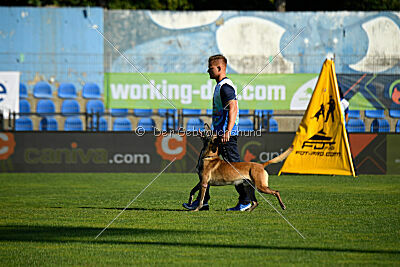 Erco primus Proeliator