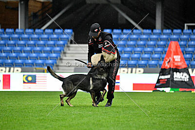 Erhard of Spirit Tom