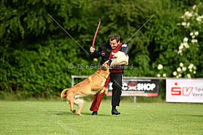 Erik vom roten Drachen