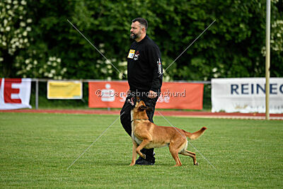 Erik vom roten Drachen