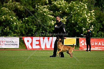 Erik vom roten Drachen