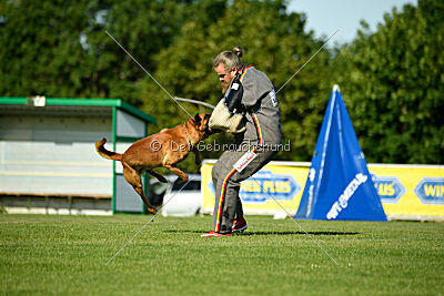 Erik vom roten Drachen