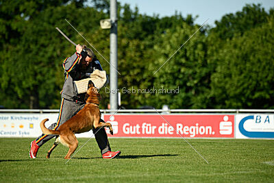 Erik vom roten Drachen