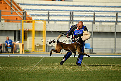 Erkan Arcanis