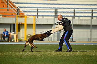 Erkan Arcanis