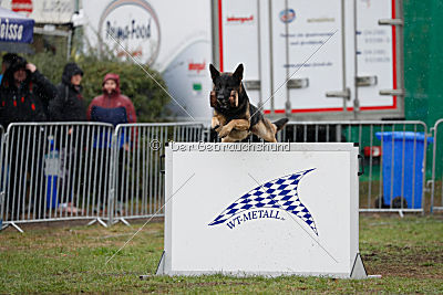 Eron von der Mohnwiese