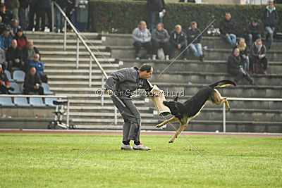 Eron von der Mohnwiese