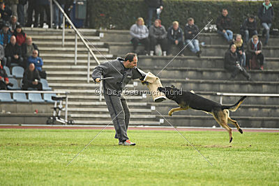 Eron von der Mohnwiese