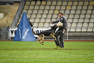 Eron von der Mohnwiese