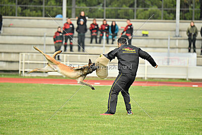 Es-Flindtto's Hasco