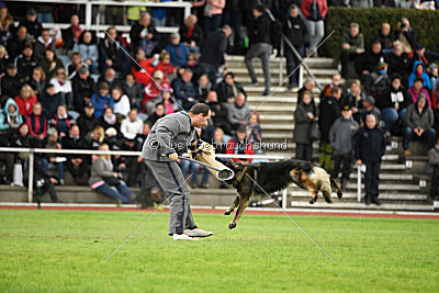 Eschna von Schloß Bothmer