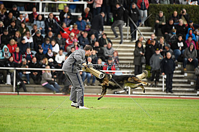 Eschna von Schloß Bothmer