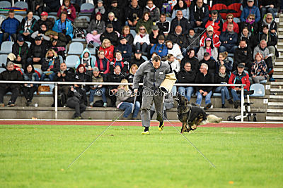 Eschna von Schloß Bothmer